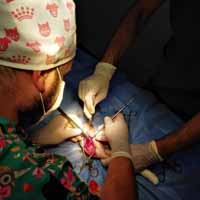 Femur Kırığı Operasyonu 10