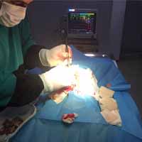 Gastrik Dilatasyon Operasyonu 3