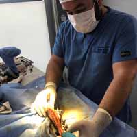 Tibia Kırığı Operasyonu 13