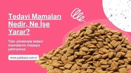 Tedavi Maması Nedir?