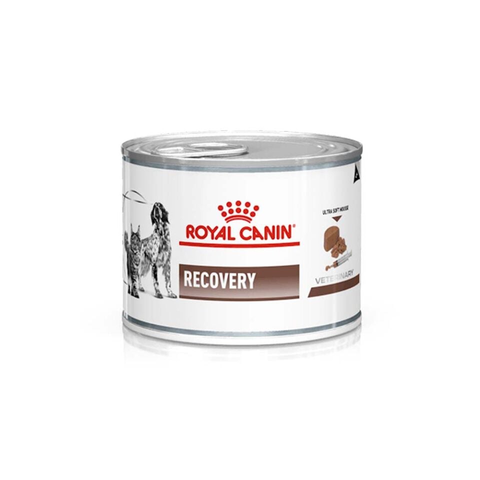 Royal Canin Recovery Yaş Mama 195gr