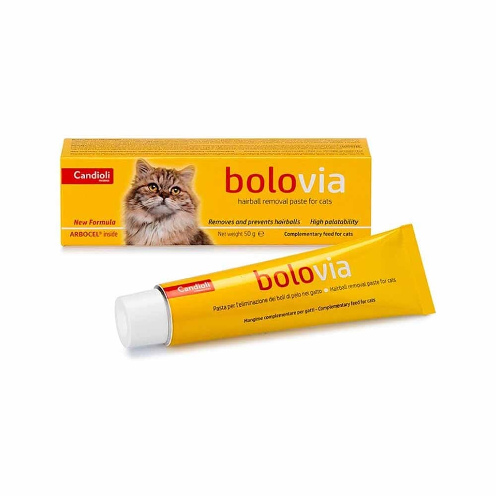 Candioli Bolovia Malt Pasta 50gr