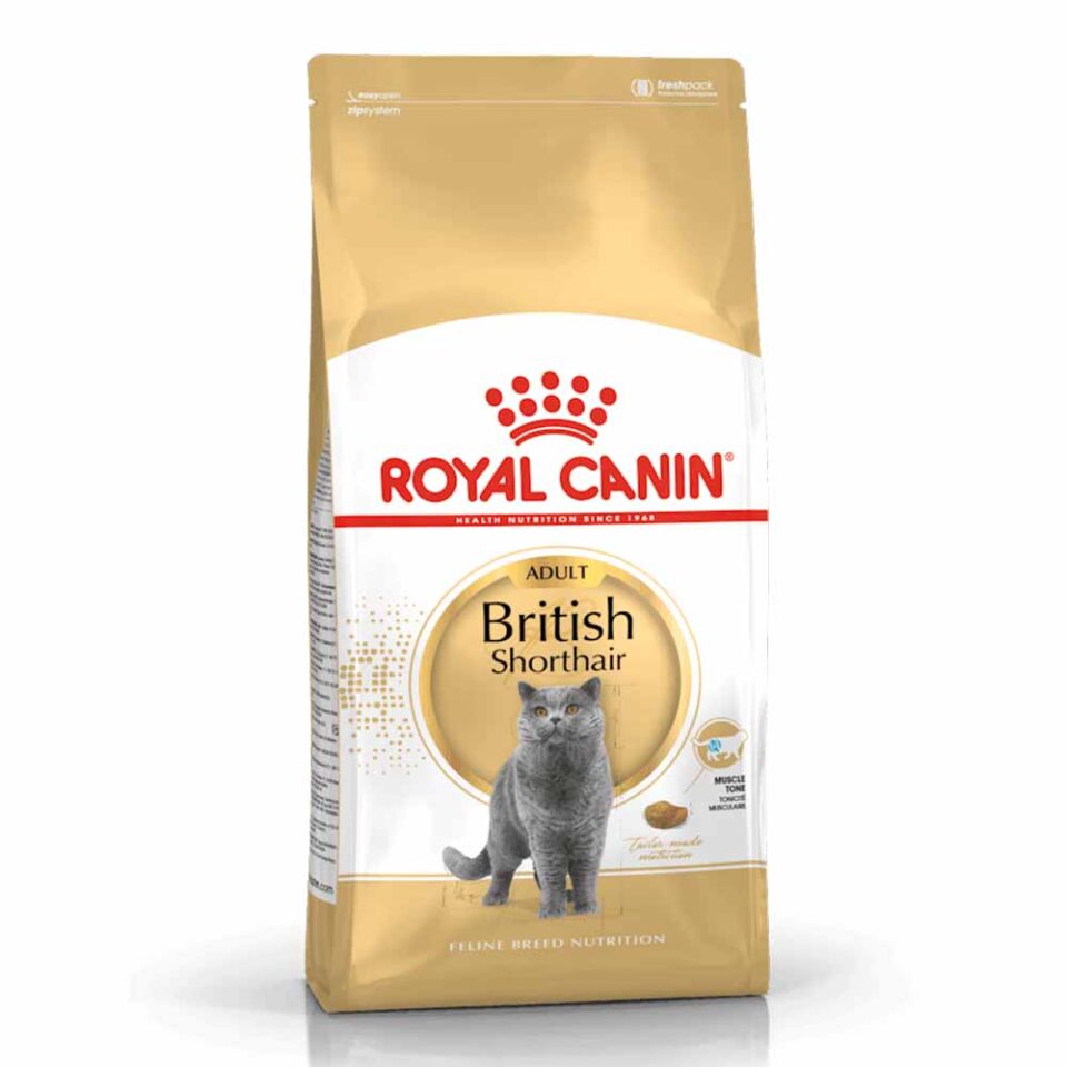 Royal Canin Adult British Shorthair Yetişkin Kedi Maması