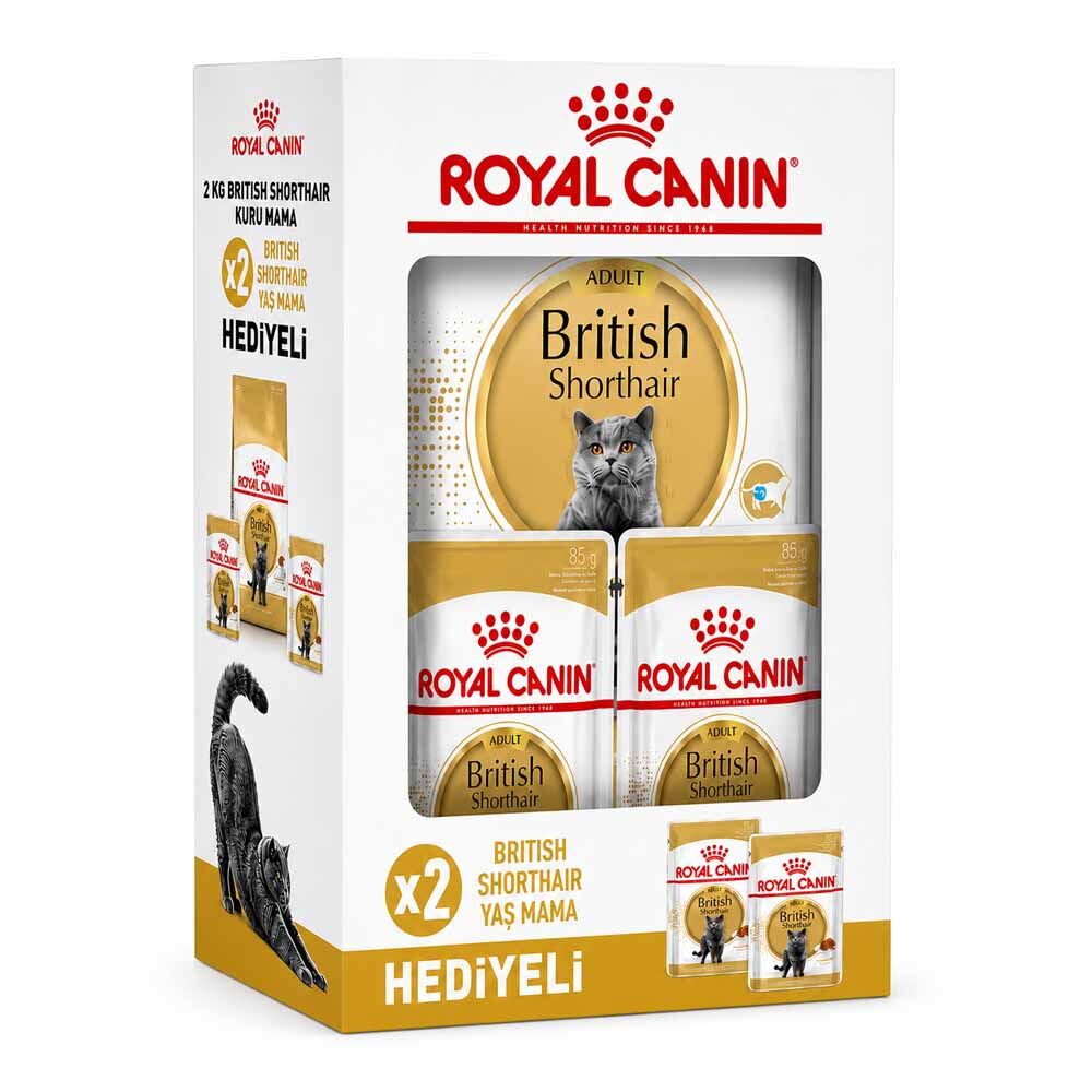 Royal Canin British Shorthair Kedi Maması Bundle 2kg