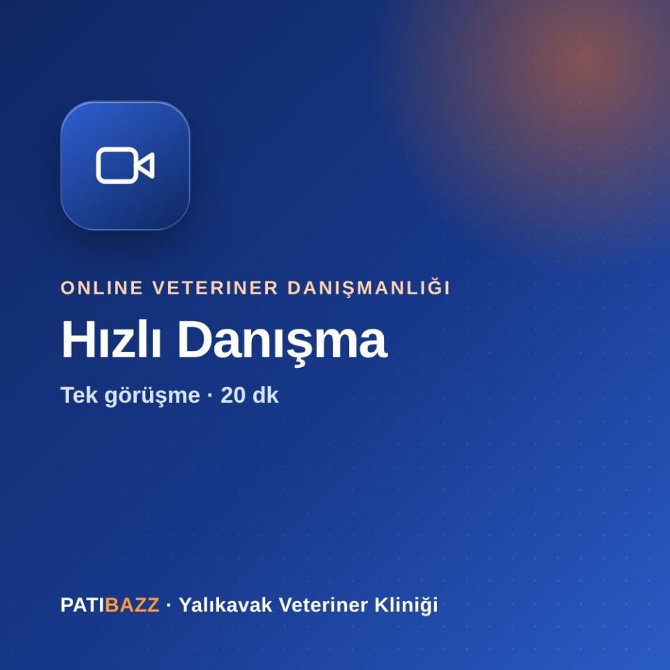 Online Danışmanlık – Hızlı Danışma