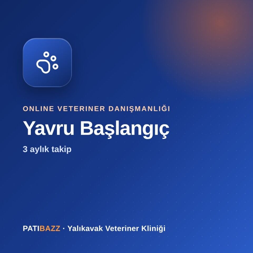 Online Danışmanlık – Yavru Başlangıç