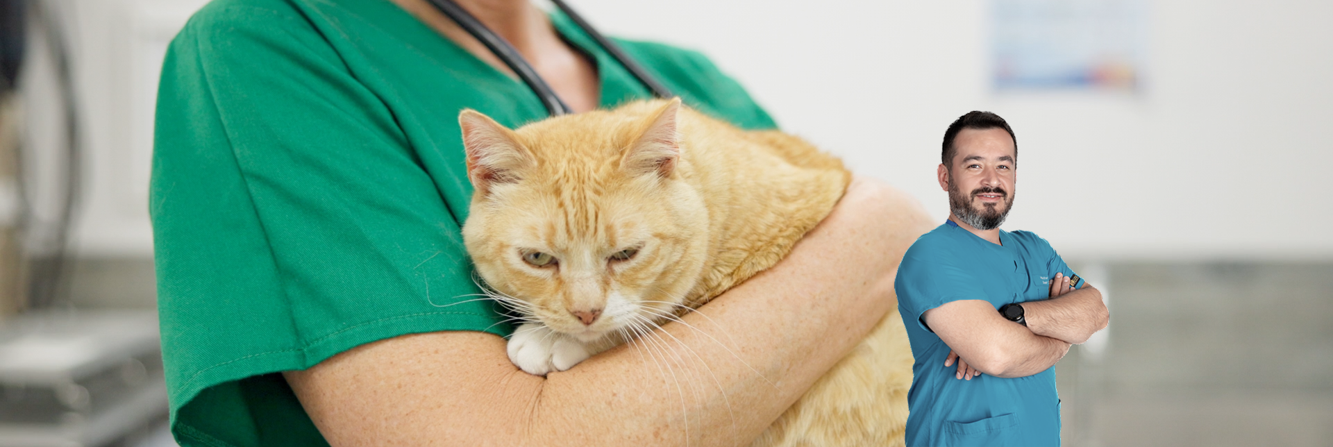 Yalıkavak Veteriner Kliniği